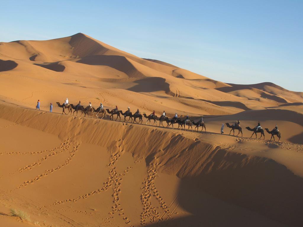 Sahara Camel Tours Camp Hotell Merzouga Rom bilde