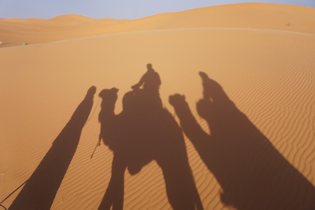 Sahara Camel Tours Camp Hotell Merzouga Rom bilde
