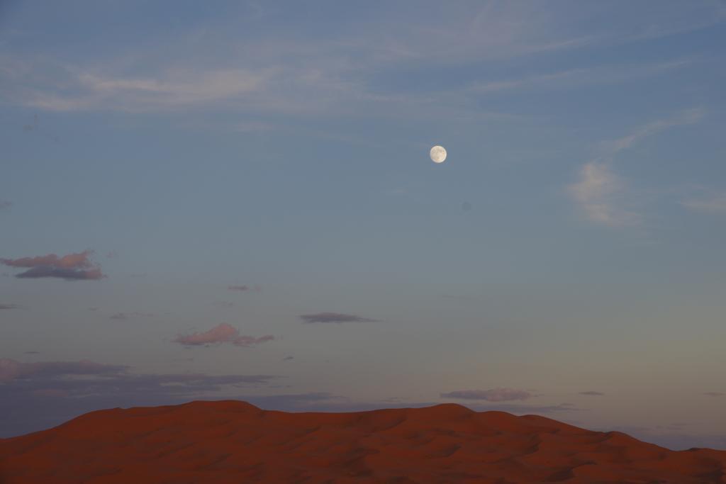 Sahara Camel Tours Camp Hotell Merzouga Eksteriør bilde
