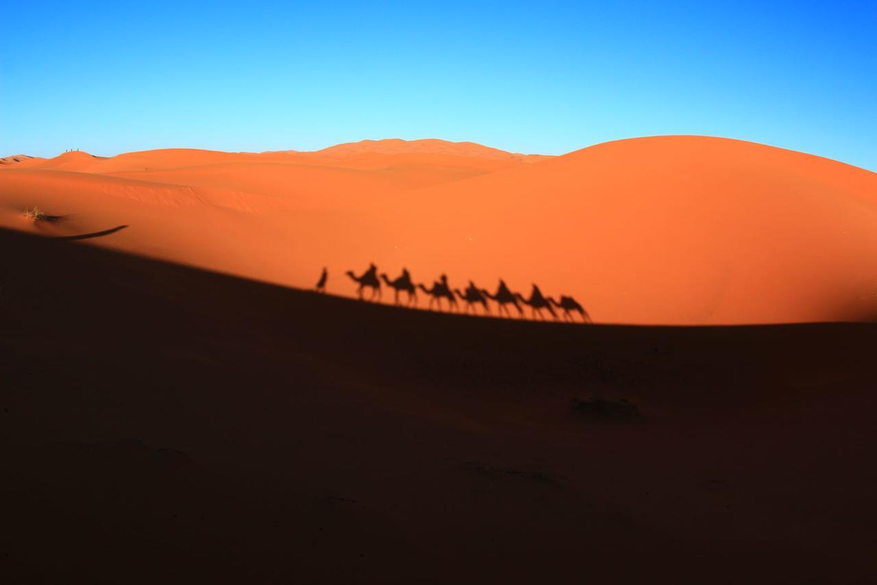 Sahara Camel Tours Camp Hotell Merzouga Eksteriør bilde