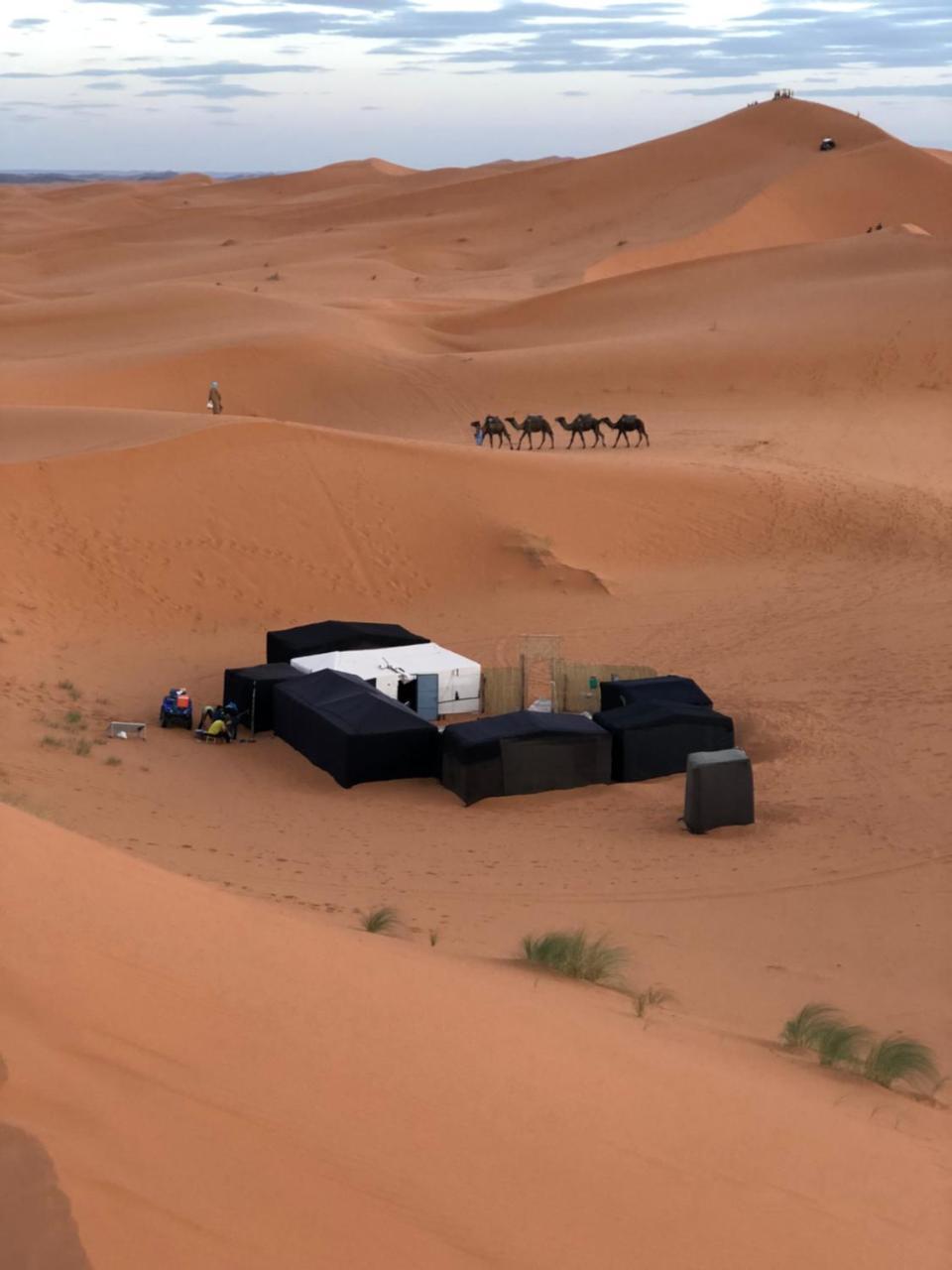 Sahara Camel Tours Camp Hotell Merzouga Eksteriør bilde